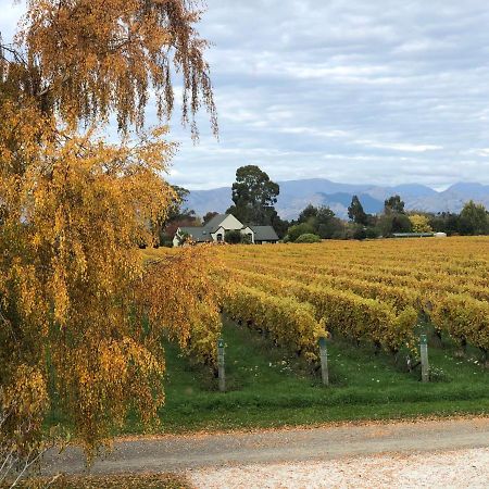 Vineyard Cottage In Blenheim On The Golden Mile Bagian luar foto