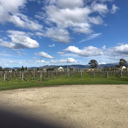 Vineyard Cottage In Blenheim On The Golden Mile Bagian luar foto